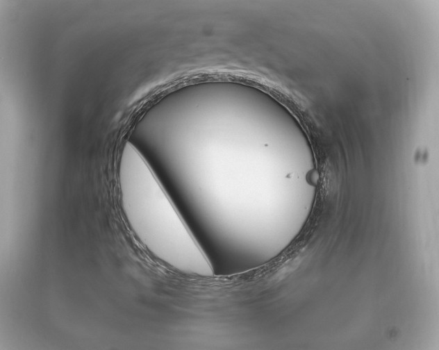 X0000092211494200709140851