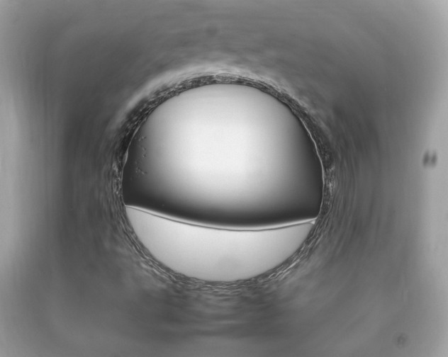 X0000092211495200709140851