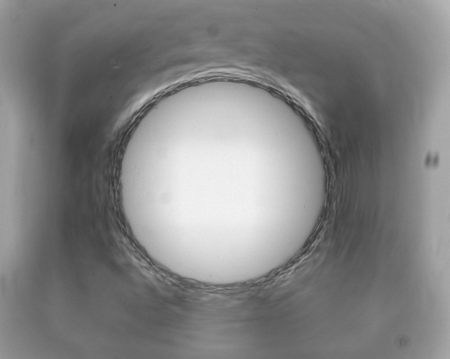 X0000092211496200709140851