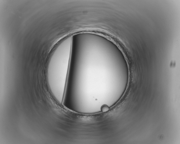 X0000092211497200709140851