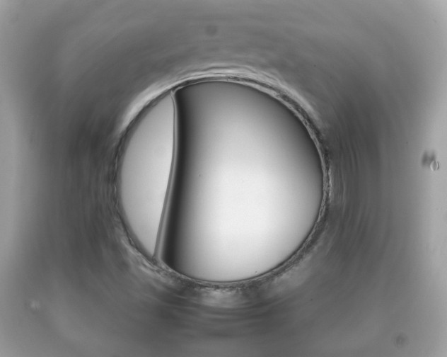 X0000092211501200709140851