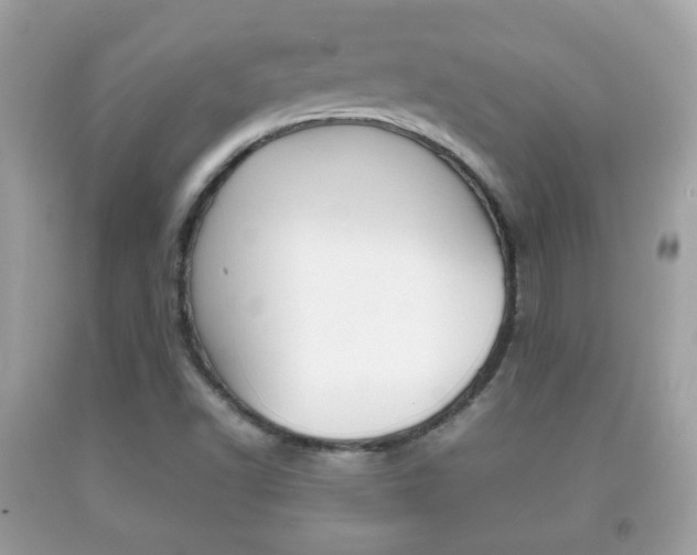 X0000092211502200709140851