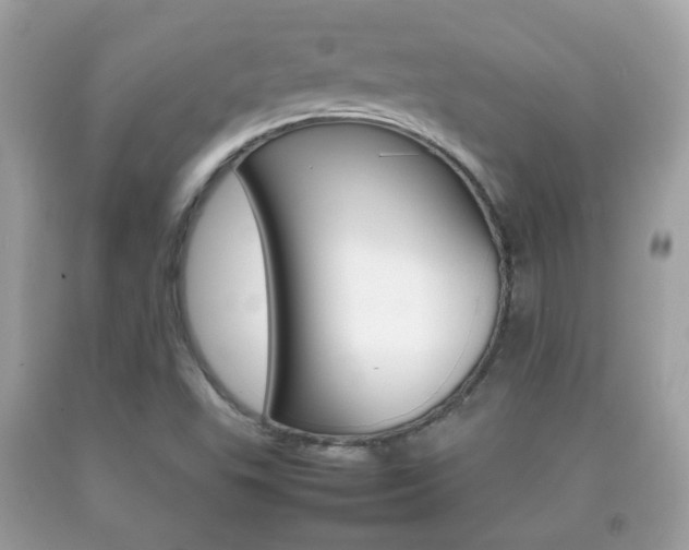 X0000092211503200709140851