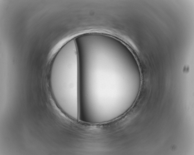 X0000092211504200709140851