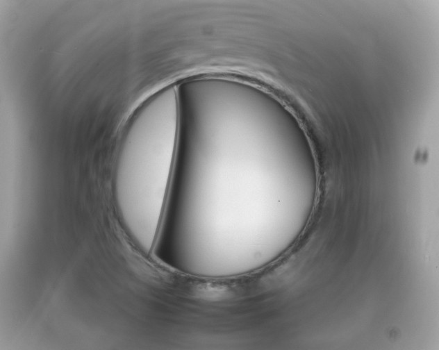 X0000092211505200709140851