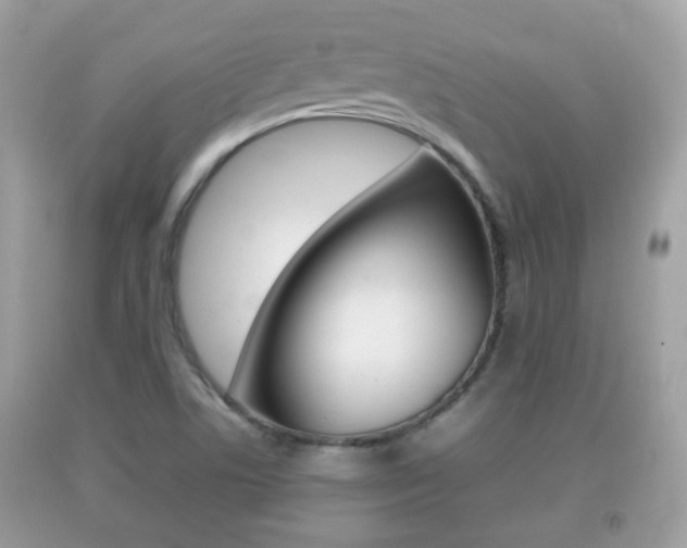 X0000092211506200709140851