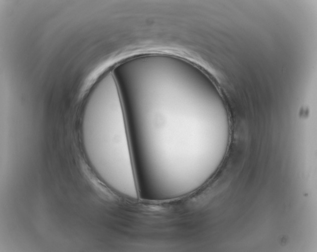 X0000092211507200709140851