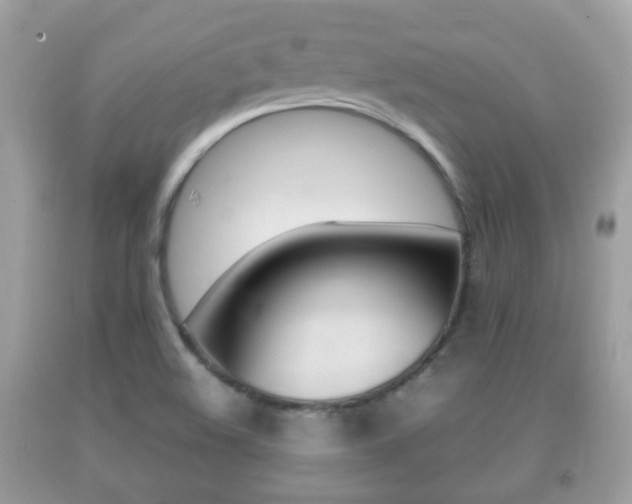 X0000092211508200709140851