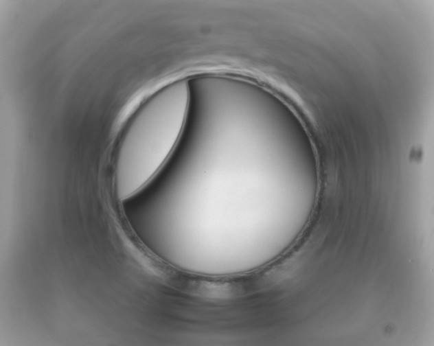 X0000092211509200709140852