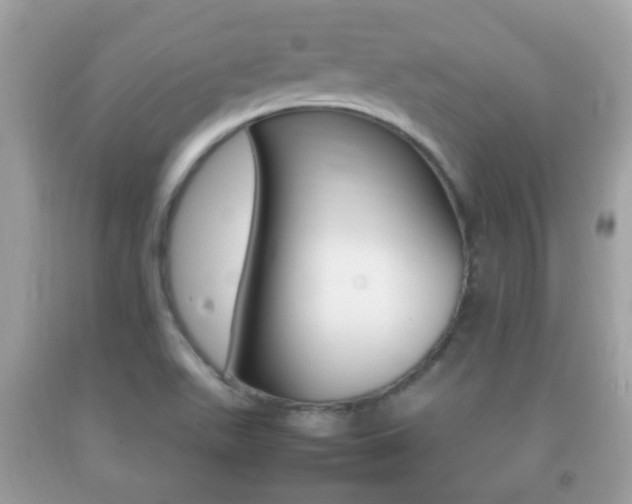 X0000092211511200709140852