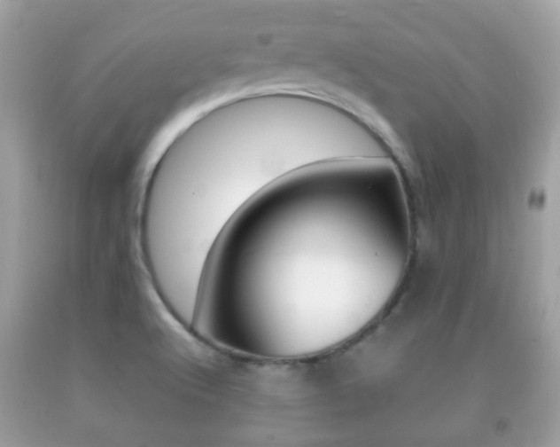 X0000092211512200709140852