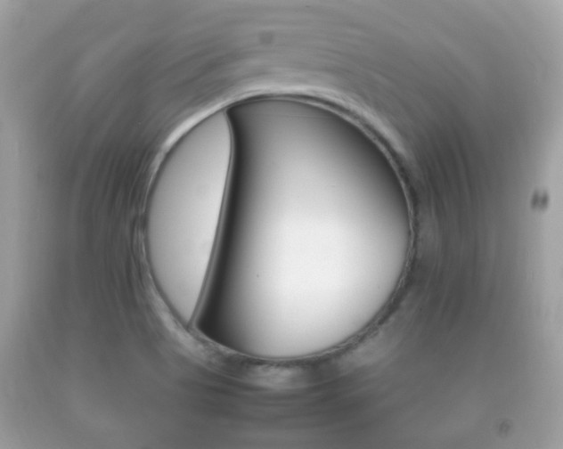 X0000092211513200709140852