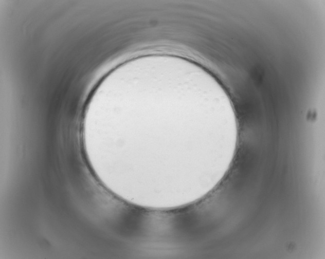 X0000092211514200709140852