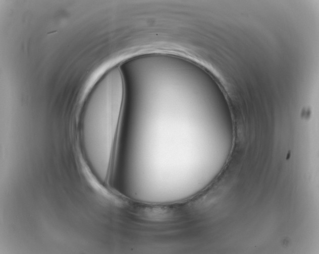 X0000092211515200709140852