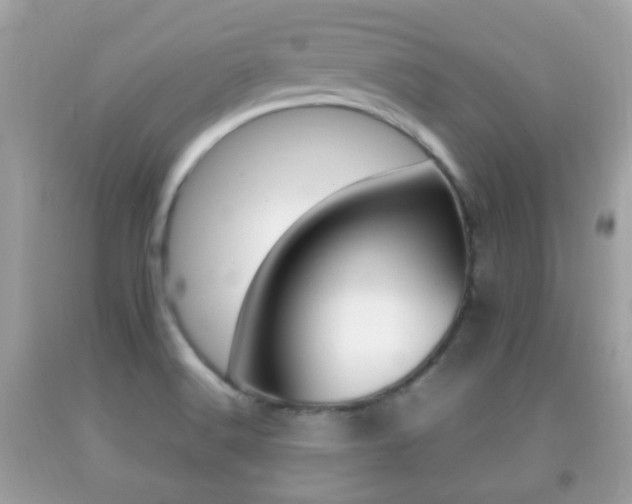 X0000092211516200709140852