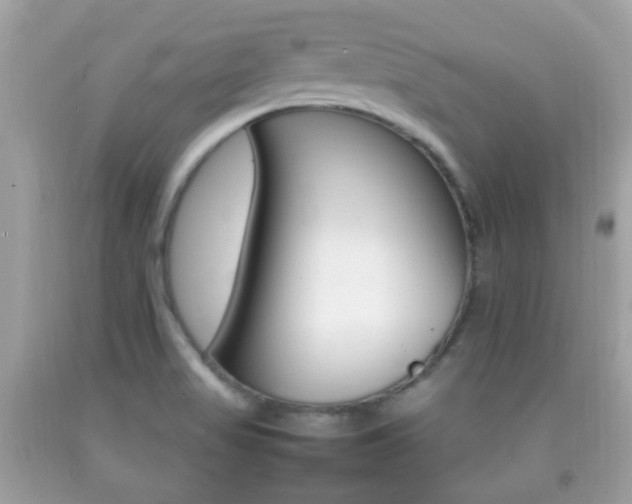 X0000092211517200709140852