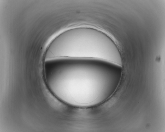 X0000092211518200709140852