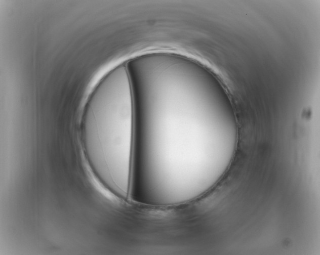 X0000092211519200709140852