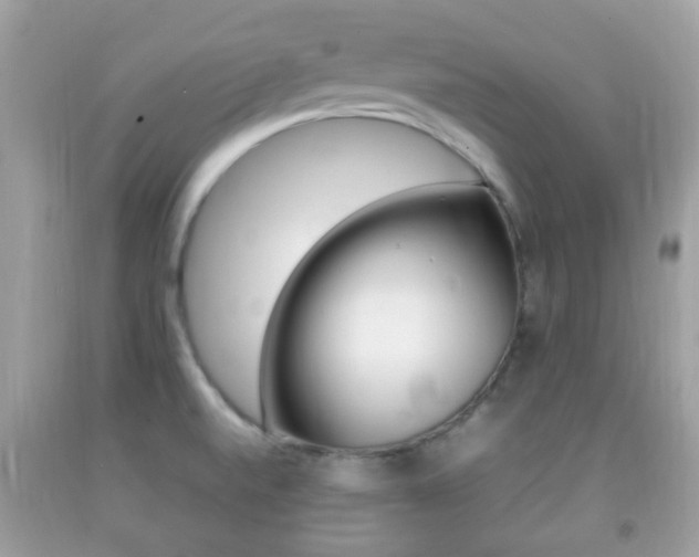 X0000092211520200709140852