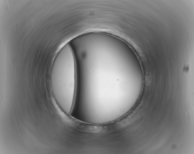 X0000092211521200709140852