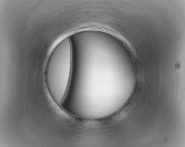 X0000092211522200709140852