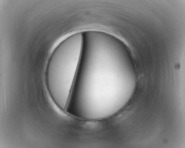 X0000092211523200709140852