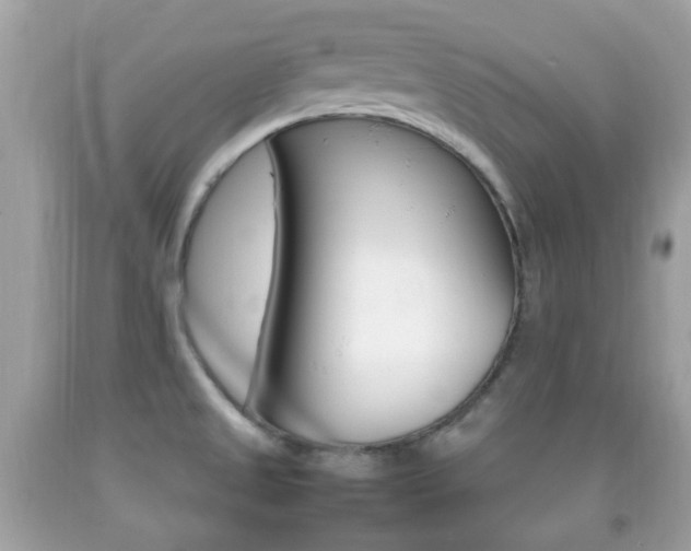 X0000092211525200709140852