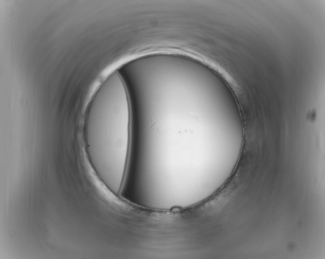 X0000092211526200709140852
