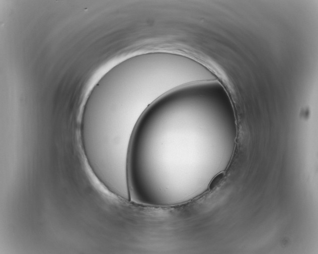 X0000092211528200709140852
