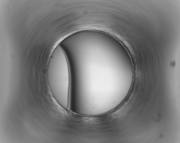 X0000092211529200709140852