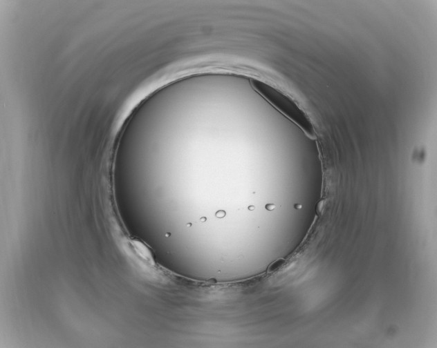 X0000092211530200709140852