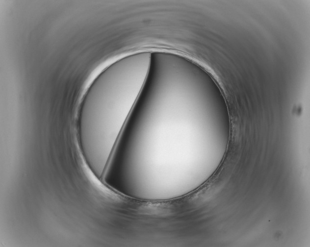 X0000092211531200709140852