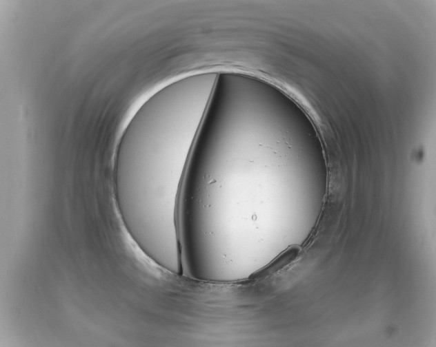 X0000092211532200709140852