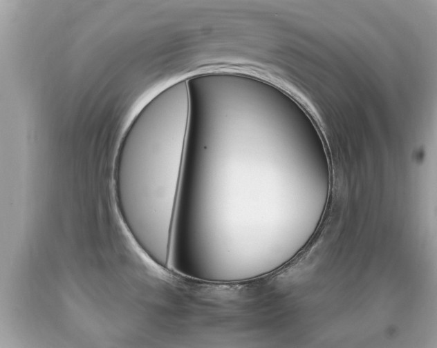 X0000092211533200709140852