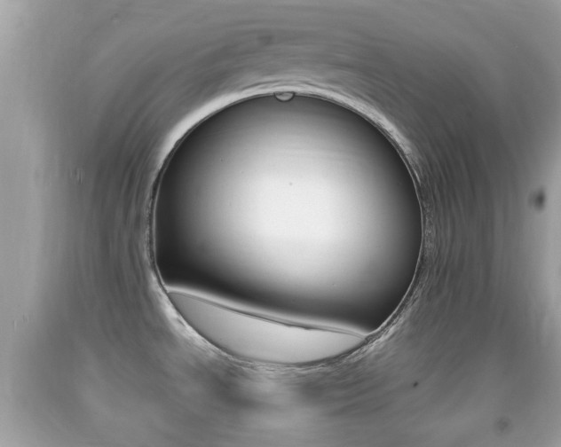 X0000092211534200709140852