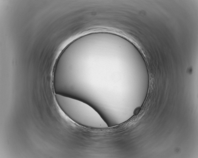 X0000092211535200709140852