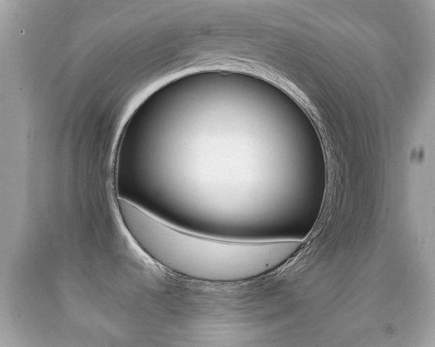 X0000092211536200709140852