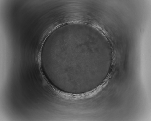 X0000092210002200709141034