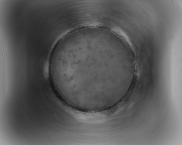 X0000092210012200709141034