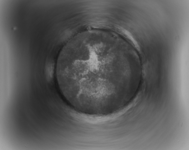 X0000092210018200709141034