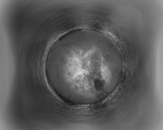 X0000092210049200709141033