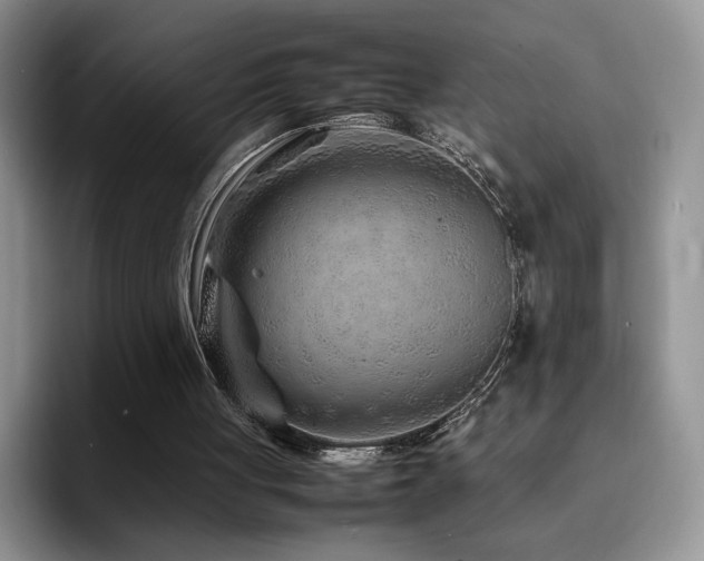 X0000092210051200709141033