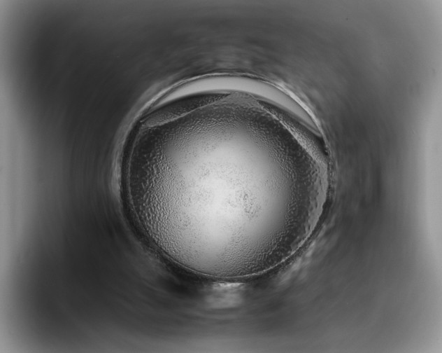 X0000092210055200709141033