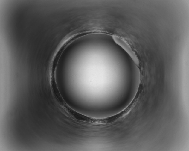 X0000092210056200709141033