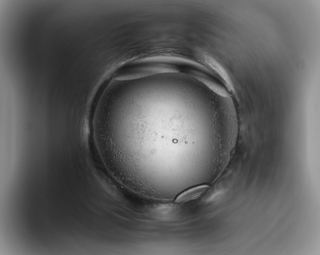 X0000092210059200709141033