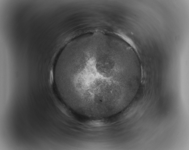 X0000092210061200709141033