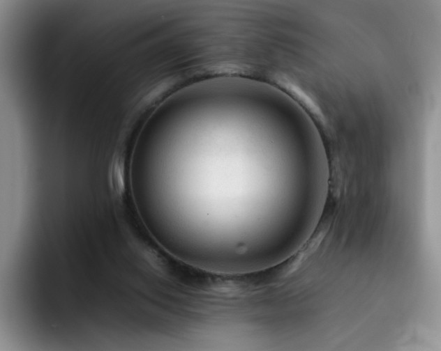 X0000092210062200709141033
