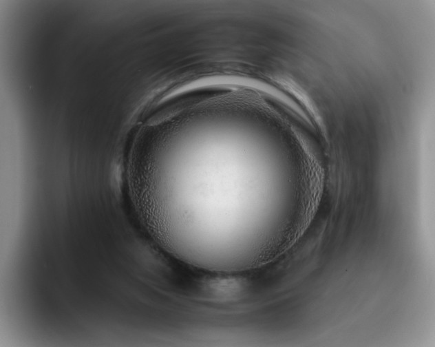 X0000092210063200709141033