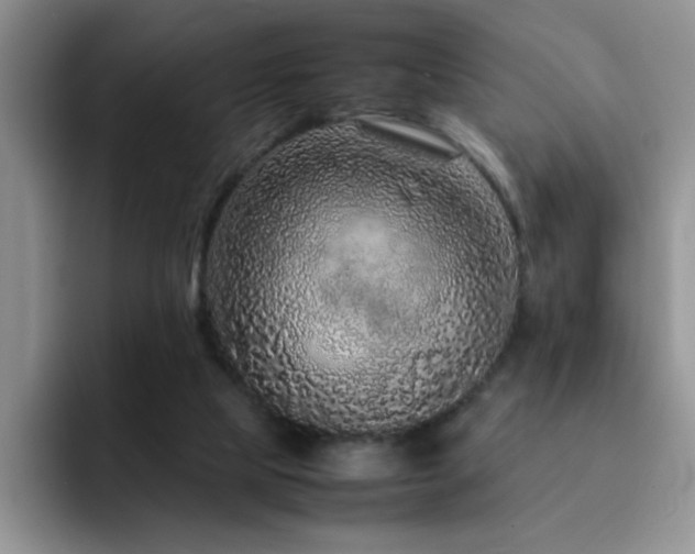 X0000092210065200709141034