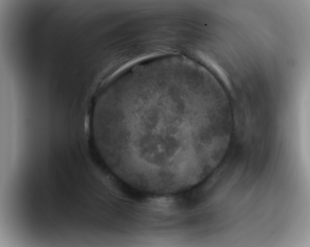 X0000092210067200709141034